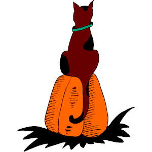 Cat on Pumpkin 2