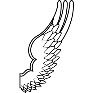 Archaic drawing of a bird wing