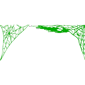 Spider Web Border