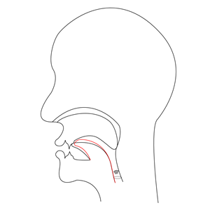 midsagittal J - voiced postalveolar affricate