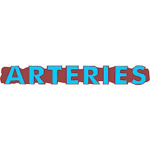 Arteries - Title