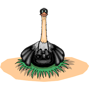 Ostrich 08