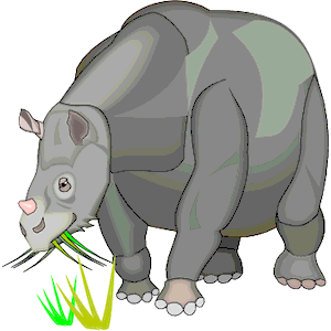 Rhinoceratoidea