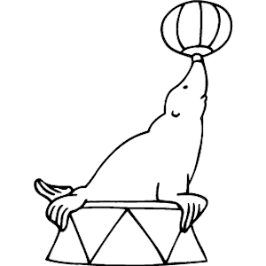 Seal Balancing Ball
