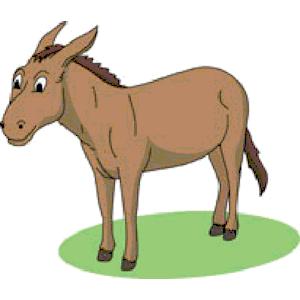 TN donkey