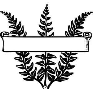 scroll over ferns
