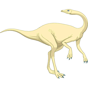Dinornis 15