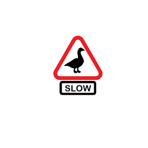 geese - slow