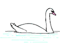 Swan 25