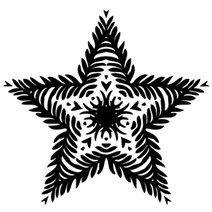 Ornamental star 41
