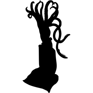 Squid silhouette