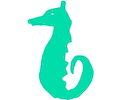 Seahorse 5