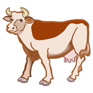 cow - coloured