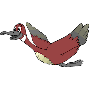 Goose 4