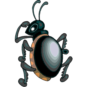 Beetle Looking