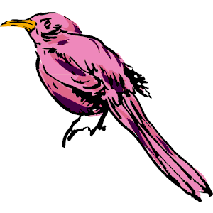 Bird 12