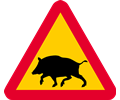 Warning Boars