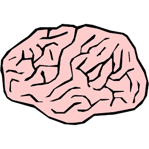 Brain 4