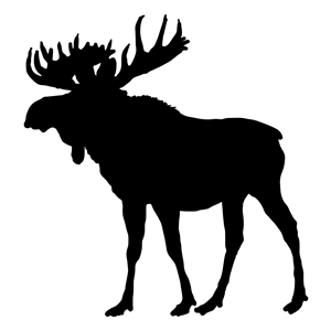 Moose Silhouette