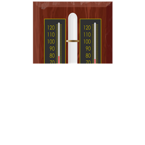 Antique Hygrometer