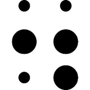 Braille M06
