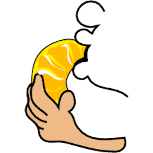 Orange Slice in Hand