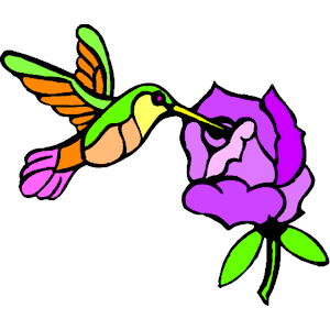 Humming Bird & Flower