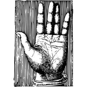 Detailed Palm for Palm Reading