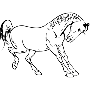 Prancing horse outline