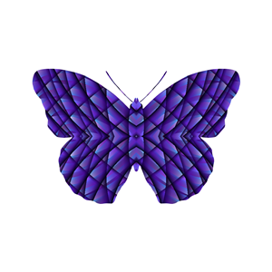 butterfly pattern generator