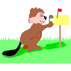 Beaver Getting Mail