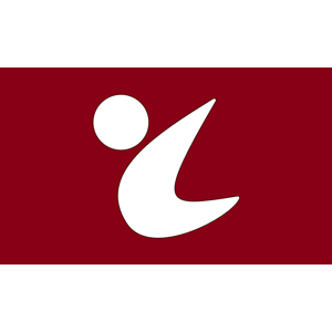 Flag of Toyomatsu, Hiroshima