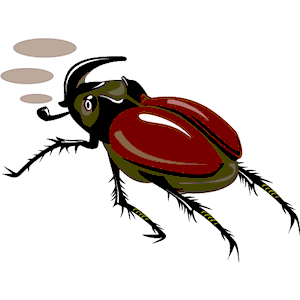 Beetle Rhinocerous