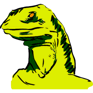 Lizard 3
