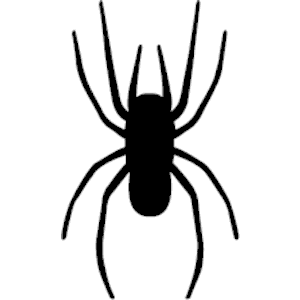 Spider 03