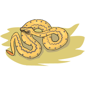 Snake 15