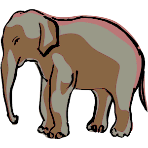 Elephant 14