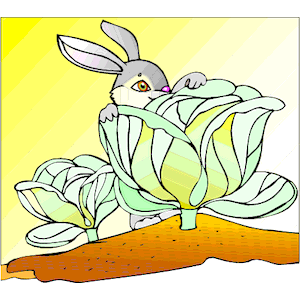 Rabbit & Cabbage