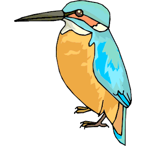 Kingfisher 04