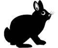Rabbit 12
