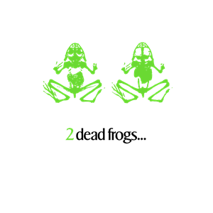2 dead frogs lumen desig 01