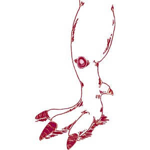 Leg with Claws