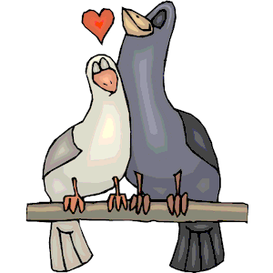 Pigeons in Love