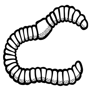worm - lineart