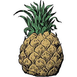 Basic Pineapple