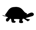 Silhouette - turtle
