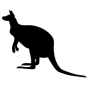 contour kangaroo
