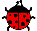 Ladybug flat colors