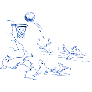 Seals Playing Basketball