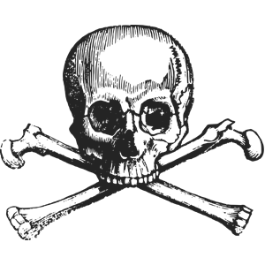 Skull and Cross Bones